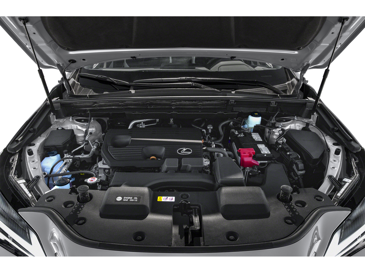 2024 Lexus NX 250 NX 250