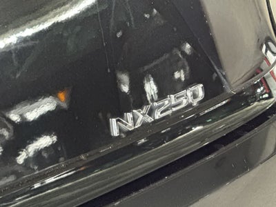 2024 Lexus NX 250 NX 250