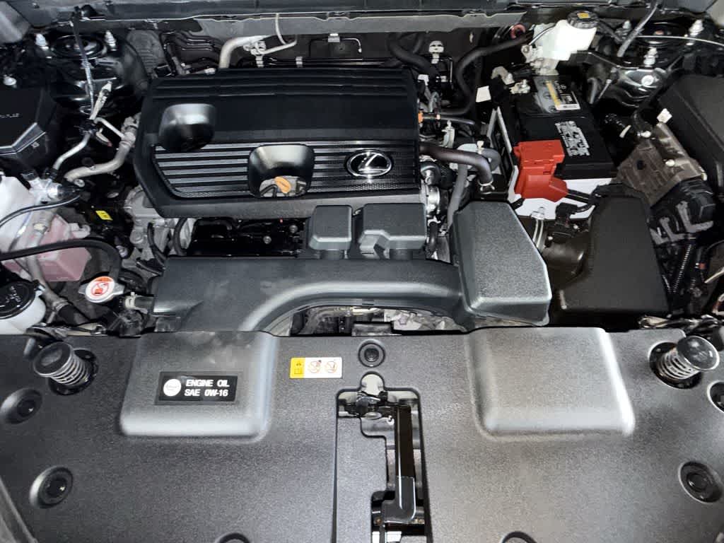 2024 Lexus NX 250 NX 250