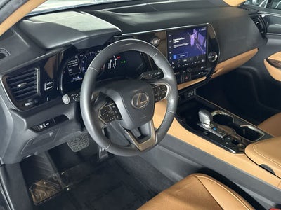 2024 Lexus NX 250 NX 250
