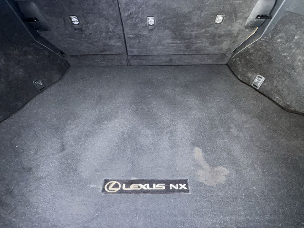 2024 Lexus NX 250 NX 250