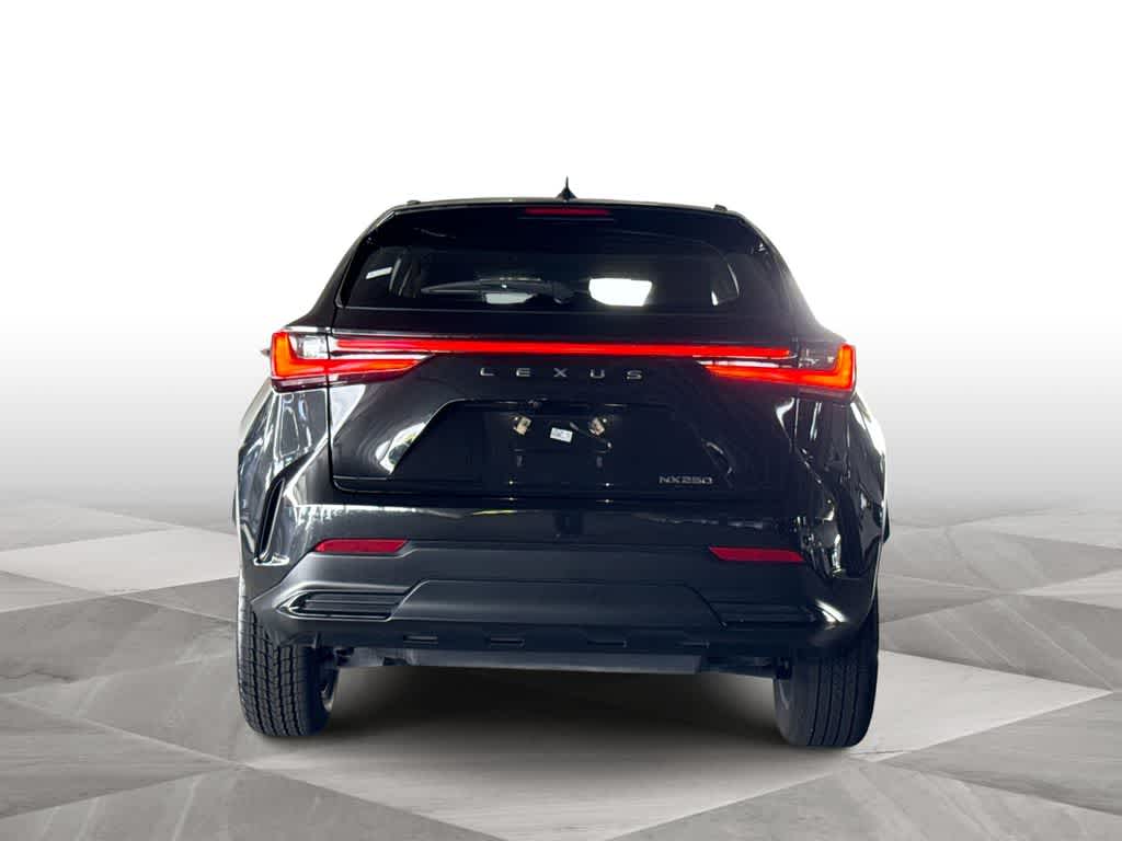 2024 Lexus NX 250 NX 250