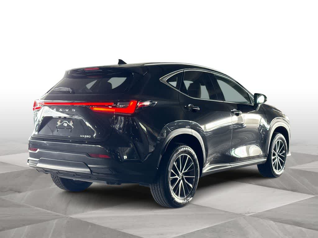 2024 Lexus NX 250 NX 250