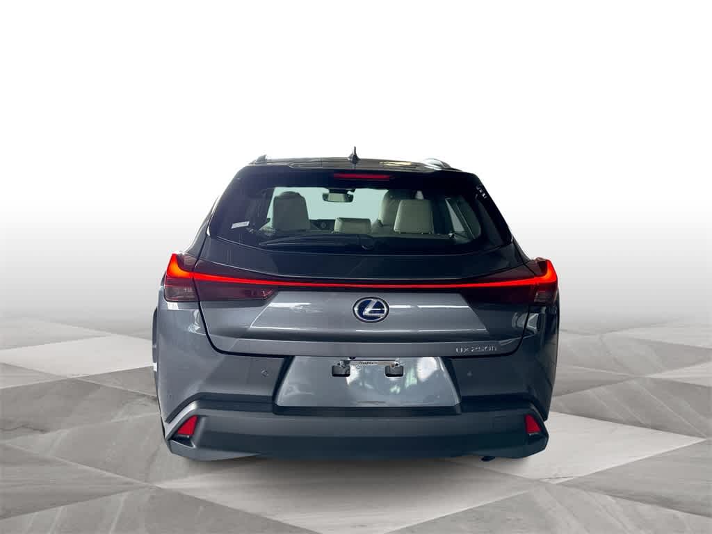 2022 Lexus UX UX 250h